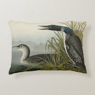 Große Nordtaucher Loon Audubon Birds of America Dekokissen