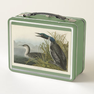 Große Nordtaucher Loon Audubon Birds of America Metall Brotdose