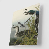 Große Nordtaucher Loon Audubon Birds of America Quadratische Wanduhr (Winkel)