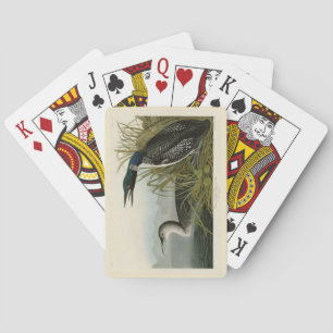 Große Nordtaucher Loon Audubon Birds of America Spielkarten