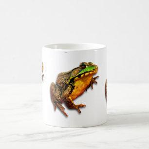 Große Ochsenfrösche Drei Frösche Kaffeetasse