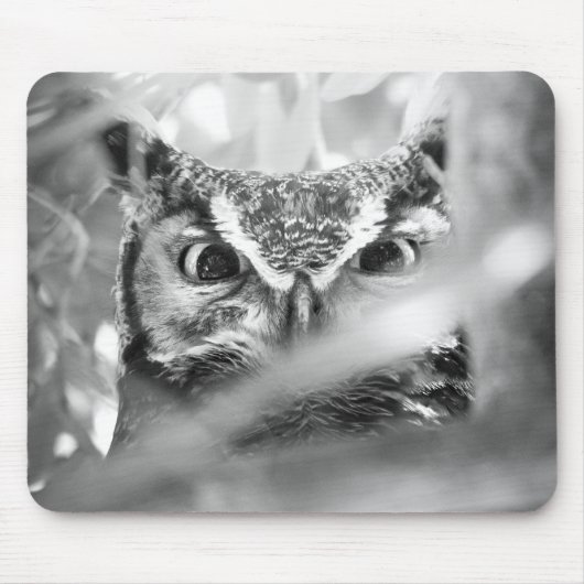 Große Ohreneule Foto-Mauspad Schwarz & Weiß Mousepad (Vorne)