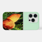 Große orange afrikanische Samenzapfen, iPhone Hülle (Rückseite (Horizontal))