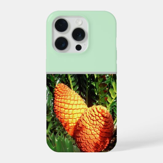 Große orange afrikanische Samenzapfen, iPhone Hülle (Rückseite)