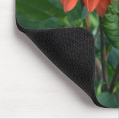 Große orange Dahlie-Blumenknospe Mousepad (Ecke)