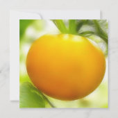 Große orange Heirloom-Tomate Einladung (Rückseite)