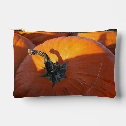 Große Orange Kürbis Zubehörtasche (Vorderseite)