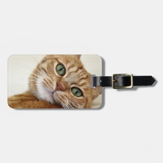 Große orange Miezekatze Gepäckanhänger (Vorderseite horizontal)