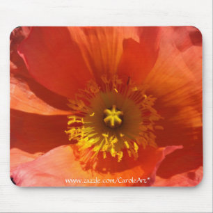 Große orange Mohnblume Mousepad