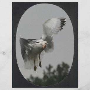 Große ovale Rahmen (schwarz)