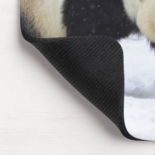 Große Pandas Smithsonian | im Schnee Mousepad (Ecke)