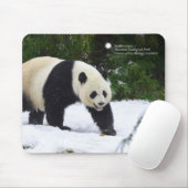 Große Pandas Smithsonian | im Schnee Mousepad (Mit Mouse)