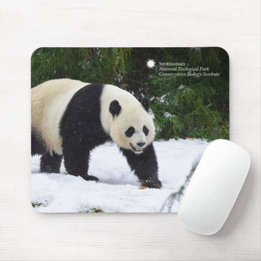 Große Pandas Smithsonian | im Schnee Mousepad (Mit Mouse)