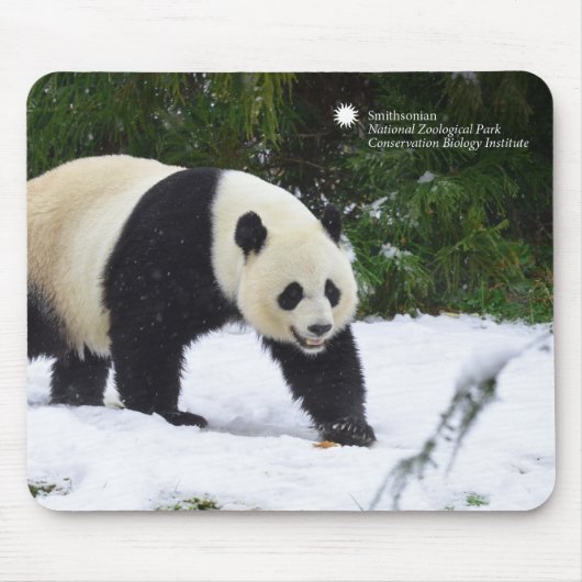 Große Pandas Smithsonian | im Schnee Mousepad (Vorne)