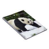 Große Pandas Smithsonian | im Schnee Notizblock (Rechte Seite)