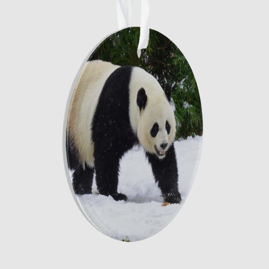 Große Pandas Smithsonian | im Schnee Ornament (Vorderseite)