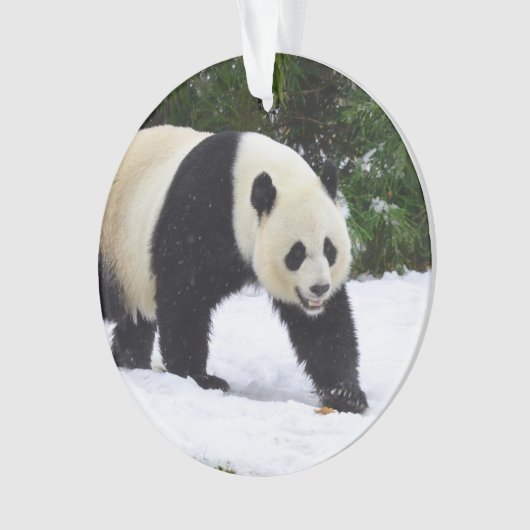 Große Pandas Smithsonian | im Schnee Ornament (Vorderseite)