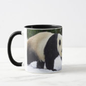 Große Pandas Smithsonian | im Schnee Tasse (Links)