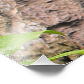 Große Panorama-Horizontal-Foto-Erweiterung Fotodruck (Ecke)