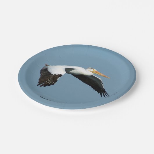 Große Papiertafel Pappteller (Schrägansicht)