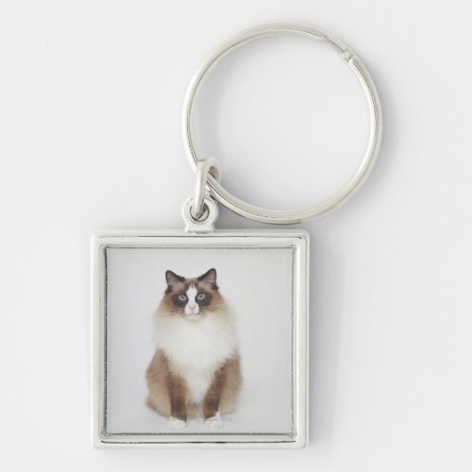 Große Pelzkatze Schlüsselanhänger (Vorne)