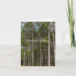 Große Pines denken Sie an Ihre Karte
