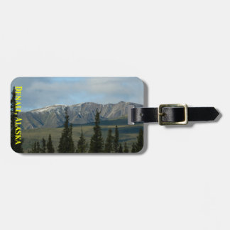 Große Plätze - Denali Alaska einfache Gepäckanhänger