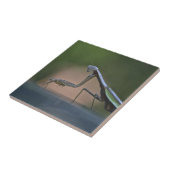 Große Prachtmantis Trivet Fliese (Seite)