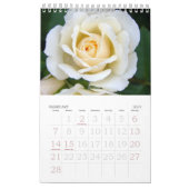 Große Print Small Calendar Rose Single Kalender (Feb 2027)