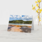 Große Prismatische Frühjahrskarte Karte (Gelbe Blume)