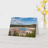 Große Prismatische Frühjahrskarte Karte (Gelbe Blume)