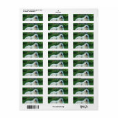 Große Pyrenäen (Vorne)