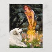 Große Pyrenäen 2 - Mitte Postkarte (Vorderseite)