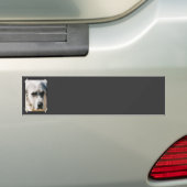 Große Pyrenäen-Autoaufkleber Autoaufkleber (Auf Auto)