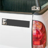 Große Pyrenäen-Autoaufkleber Autoaufkleber (Auf Lkw)