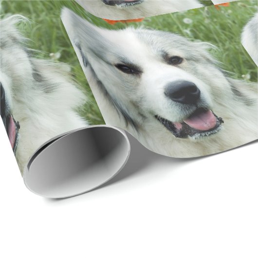 Große Pyrenäen Geschenkpapier (Rolleneckpunkt)