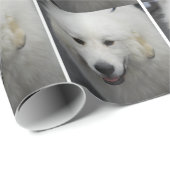 Große Pyrenäen-Hund Geschenkpapier (Rolleneckpunkt)
