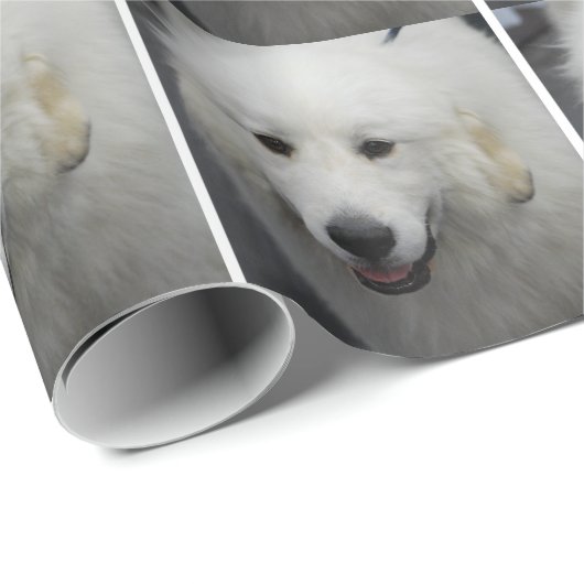 Große Pyrenäen-Hund Geschenkpapier (Rolleneckpunkt)