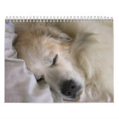 Große Pyrenäen-Kalender Kalender (Titelbild)