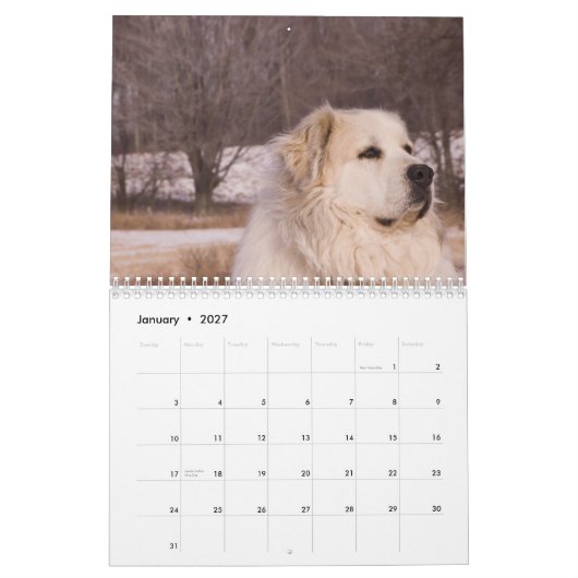 Große Pyrenäen-Kalender Kalender (Jan 2027)