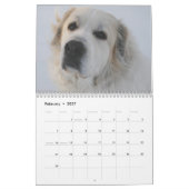 Große Pyrenäen-Kalender Kalender (Feb 2027)