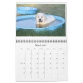 Große Pyrenäen-Kalender Kalender (Mär 2027)