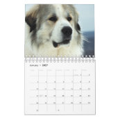 Große Pyrenäen-Kalender Kalender (Jan 2027)