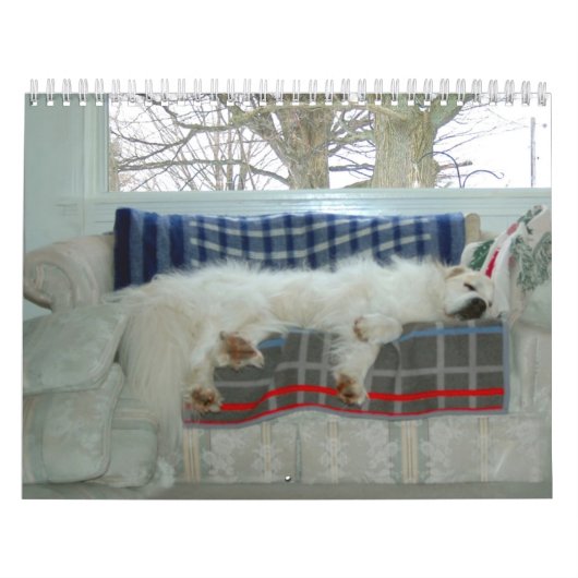 Große Pyrenäen-Kalender Kalender (Titelbild)