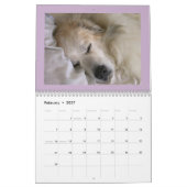 Große Pyrenäen-Kalender Kalender (Feb 2027)