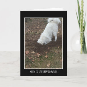 Große Pyrenäen Karte