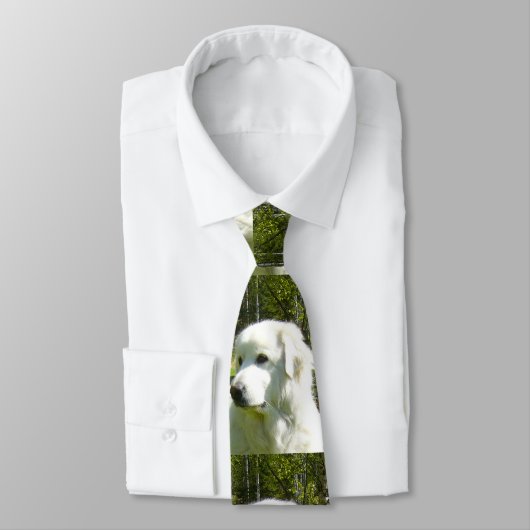 große Pyrenäen Krawatte (Gebunden)