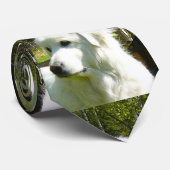 große Pyrenäen Krawatte (Gerollt)