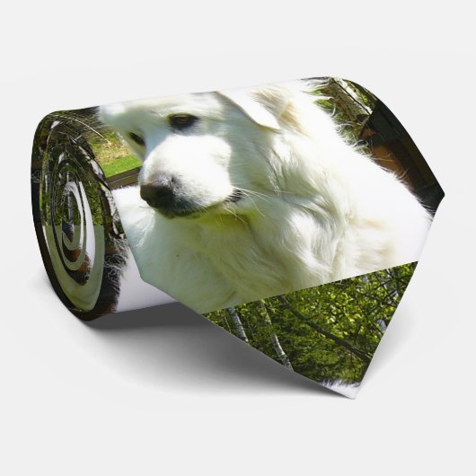 große Pyrenäen Krawatte (Gerollt)