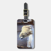 Große Pyrenäen lassen es Weihnachten erahnen Gepäckanhänger (Vorderseite vertikal)